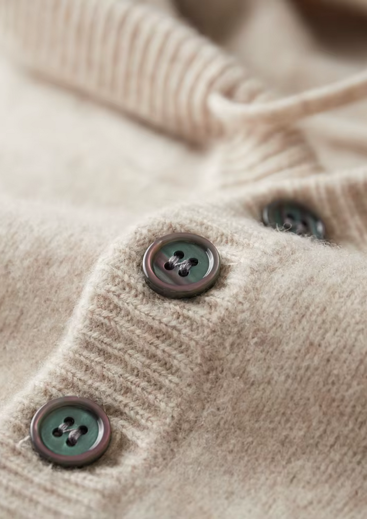 NOBA WOOL BUTTON HOODIE